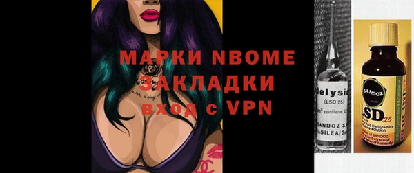 стаф Алексин