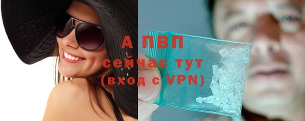 стаф Алексин